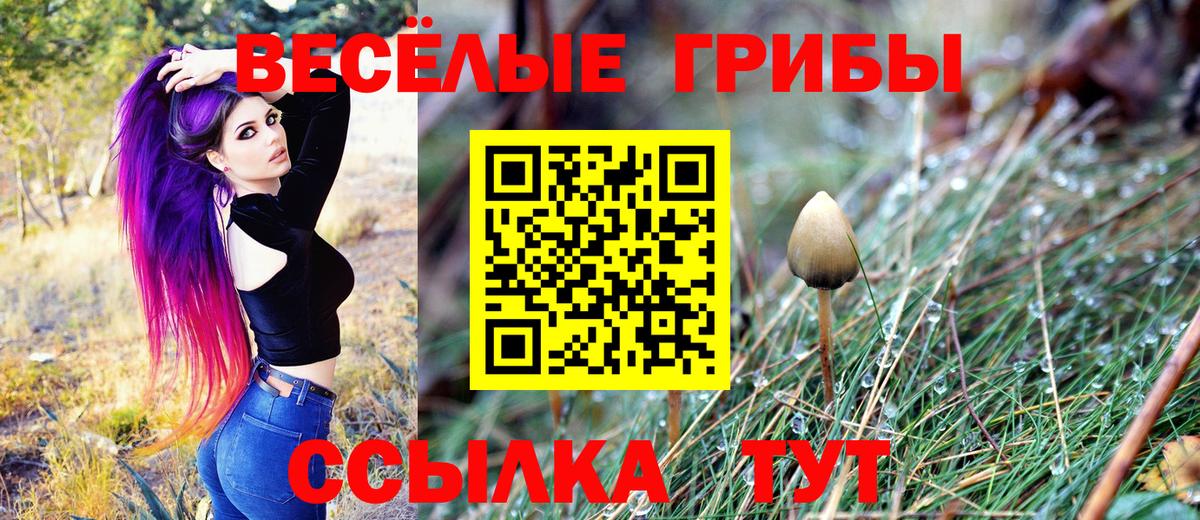 Галлюциногенные грибы Psilocybine cubensis Первоуральск