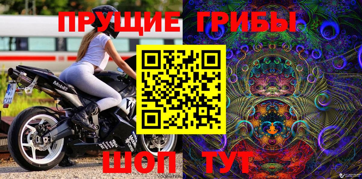 Галлюциногенные грибы Psilocybe  Вход с VPN  Псилоцибиновые грибы мицелий  Первоуральск 
